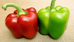 Punainen vai vihreä: kumpi paprikalajike on terveellisempi ja miten ravintoarvot eroavat?