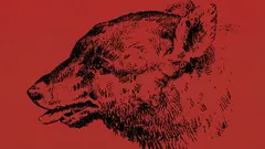 Löydätkö ihmisen tästä optisesta illuusiosta?