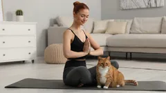 Tiesitkö, miksi kissat pitävät ihmisen hien hajusta?