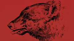 Pystytkö löytämään ihmisen tästä optisesta illuusiosta?