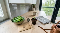 Milloin avomaankurkku kylvetään suoraan maahan? Yksi lämpöraja ja F1-valinta, joilla sato alkaa yllättävän nopeasti