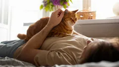 Pörröinen pikkuparantajasi: miksi kissa tulee luoksesi, kun voit huonosti?