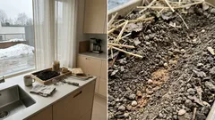 Kevät pihassa ja palstalla: 10 yleistä harhaa – ja miten saat vähemmällä enemmän