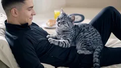 Näin kissa osoittaa rakkautensa: jos se tekee tämän, olet sen rakkain ihminen.