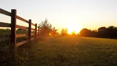 Tarina siitä, miksi äiti ja tytär kieltäytyivät 26 miljoonan dollarin tarjouksesta maastaan