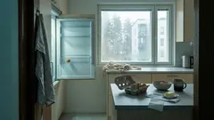 Lintuinfluenssa palaa kanaloihin – voiko yksi tapaus heilauttaa kananmunien hintaa?