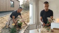 Istuta ja unohda: siankärsämö kukkii kuivassakin – ja yksi niksi pitää sen kurissa