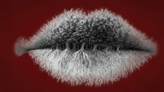 Mitä näet ensimmäisenä kuvassa? Testaa, oletko introvertti, ekstrovertti vai ambivertti