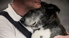 muistaako koira isäntänsä monen vuoden eron jälkeen?