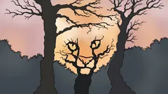 Mitä näet tässä kuvassa? Psykologinen testi paljastaa, miten näet maailman