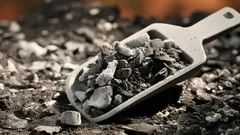 Millä tuhkalla kasveja kannattaa lannoittaa? Paina kokeneiden puutarhureiden niksi mieleen