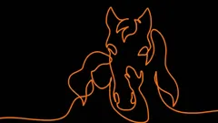 Optinen illuusio alitajuntasi testaamiseen: mitä näet ensimmäisenä?