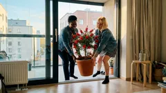 Pulloharja ruukussa: talvetus ja pakkasraja, joista moni yllättyy