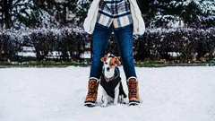 Kuinka monta minuuttia päivässä pentua pitää ulkoiluttaa?