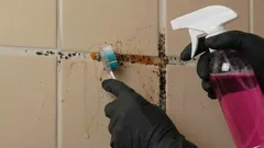 Näin pääset eroon laattasaumojen homeesta ja palautat niiden alkuperäisen ilmeen