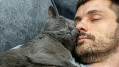 Näin kissa osoittaa rakkautensa: Jos se tekee näin, olet sen rakkain ihminen