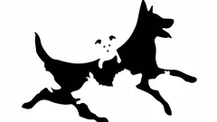 Kuinka monta koiraa näet kuvassa? Tämä testi paljastaa psykologisen ikäsi.