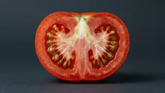 Valkoinen ja kova ydin tomaateissa: miksi se ilmestyy ja voiko sitä välttää kasvattamalla täydellisiä hedelmiä ilman sitä?