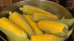 Miten ja kuinka kauan maissia keitetään – ja mitä veteen kannattaa lisätä, jotta siitä tulee pehmeää