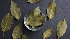 Laakerinlehti kylvyssä: miksi sitä suositellaan ja millainen vaikutus sillä on