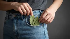 Miksi jotkut kantavat laakerinlehteä taskussaan – jopa nekin, jotka eivät usko taikauskoon?