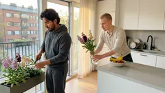 Levkoi hurmaa vasta iltahämärässä: ohjeet pitkään kukintaan ja leikkokukaksi