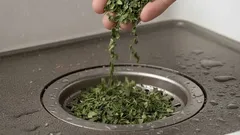 Miksi jauhettuja laakerinlehtiä kannattaa laittaa viemäriin ja mitä hyötyä siitä on?