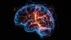 Mikä on Alzheimerin tauti ja miksi muistimme heikkenee? Tieteellinen selitys.