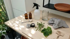 Kun kevät lämpenee – kahden valmisteen rytmi, joka pitää tuholaiset ja sienipaineen kurissa