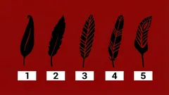 Mikä näistä viidestä höyhenestä miellyttää sinua eniten? Se kertoo sinusta enemmän kuin psykologi