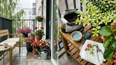 7 sitkeää kesäkukkaa, jotka kukkivat pitkälle syksyyn – ja pienet niksit, joilla ne jaksavat