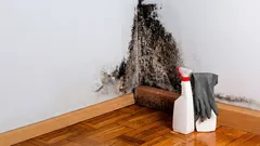 Miksi huonekalujen taakse kertyy kosteutta ja hometta? Harva tulee ajatelleeksi yhtä tärkeää syytä.