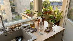 Kirvat kuriin ilman kemikaaleja: 3 miedosti tehokasta seosta ja yksi ruiskutusmuistisääntö