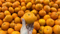 Miten valita kaupasta makeat ja herkulliset mandariinit niiden ulkonäön perusteella