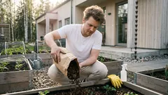 Rikkaruohot palaavat aina – tässä on syy ja yhdistelmä, joka pitää ne kurissa