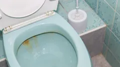 Kuinka puhdistaa WC-pönttö keltaisesta saostumasta: tehottomat menetelmät ja toimivat keinot