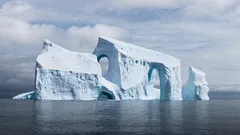 Antarktiksesta löydettiin tuntemattoman olennon valtava muna