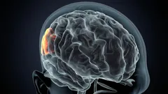 Sinun on tiedettävä, millaisia seurauksia aivojesi kohtaavat, jos kärsit usein univajeesta