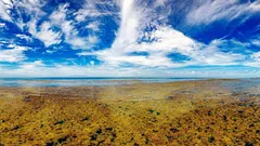 Maapallolla on vain yksi meri, jolla ei ole rantoja.