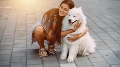 Ystävällisimmät koirarodut lapsiperheille – rodut, jotka rakastavat ihmisiä aidosti