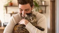 Viisi tieteellisesti todistettua hyötyä kissan kanssa elämisestä, joista et luultavasti tiennyt