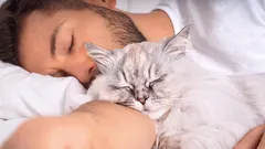 Miten kissa valitsee omistajansa perheessä?